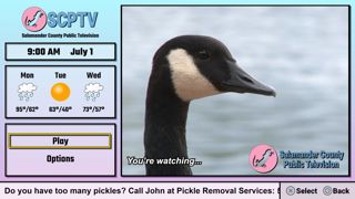 Salamander County Public Television Screenshot 9