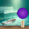 Water Balloon Player Trophy