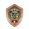 Invincible Toho Academy Trophy