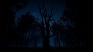 Slender: The Arrival Screenshot 7