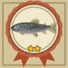 Obtained 5 fish. Trophy