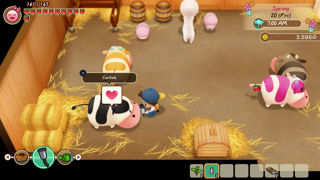 Story of Seasons: Friends of Mineral Town Screenshot 6