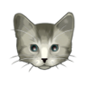 Cat Burglar Trophy