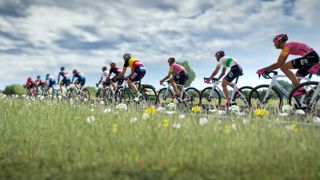 Tour de France 2024 Screenshot 1