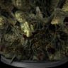 Covenant: Chaos Servant Trophy