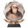 Stories of the Streets Trophy