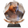 Stories to Live Trophy