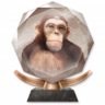 Stories of the Streets Trophy