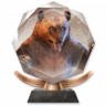 Stories to Live Trophy