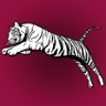 Speed Tiger Trophy