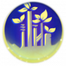 Reclaim Pandora Trophy