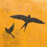 Free Bird Trophy