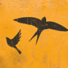 Free Bird Trophy