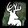 Deer Hunt Trophy