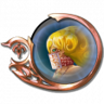 Embodiment of Light Trophy