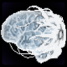 Completionist Trophy
