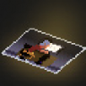 The Picture Trophy