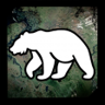 Bear Hunt Trophy
