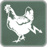 Chicken dielectric Trophy