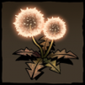 Afraid of the dark Trophy