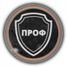 Professional Trophy