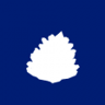 Golden Pinecones Trophy