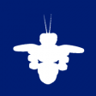 The Airforce Trophy