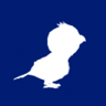 Tweet! Tweet! Birds are sweet! Trophy