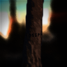 Deja Vu Trophy
