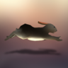Hare Today Trophy