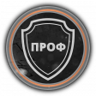 Professional Trophy