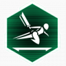 Aerial Ace Trophy