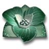 Discovery Trophy