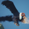 Burning Feathers Trophy