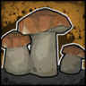 Mushroomer Trophy