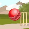 The Cricket C Trophy