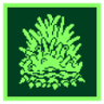 Those Who Control the Battle Trophy