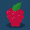 Binary Dash Raspberry Trophy