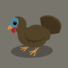 Turkey Trophy