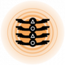 Ancient Markings Trophy