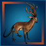 Novice Hunter Trophy