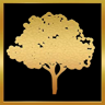 Tokyo Completed Trophy