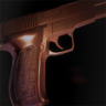 CSI Trophy