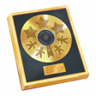The Professional Trophy
