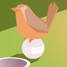 Birdie Game Trophy