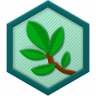 Hedge Lab Trophy