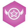 Fighter Ace Trophy