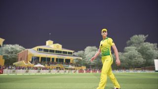 Ashes Cricket Screenshot 8