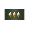 Promotion: Master Sergeant Trophy