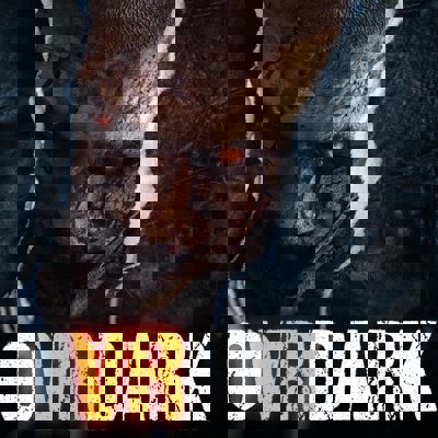 OVRDARK: a Do Not Open story